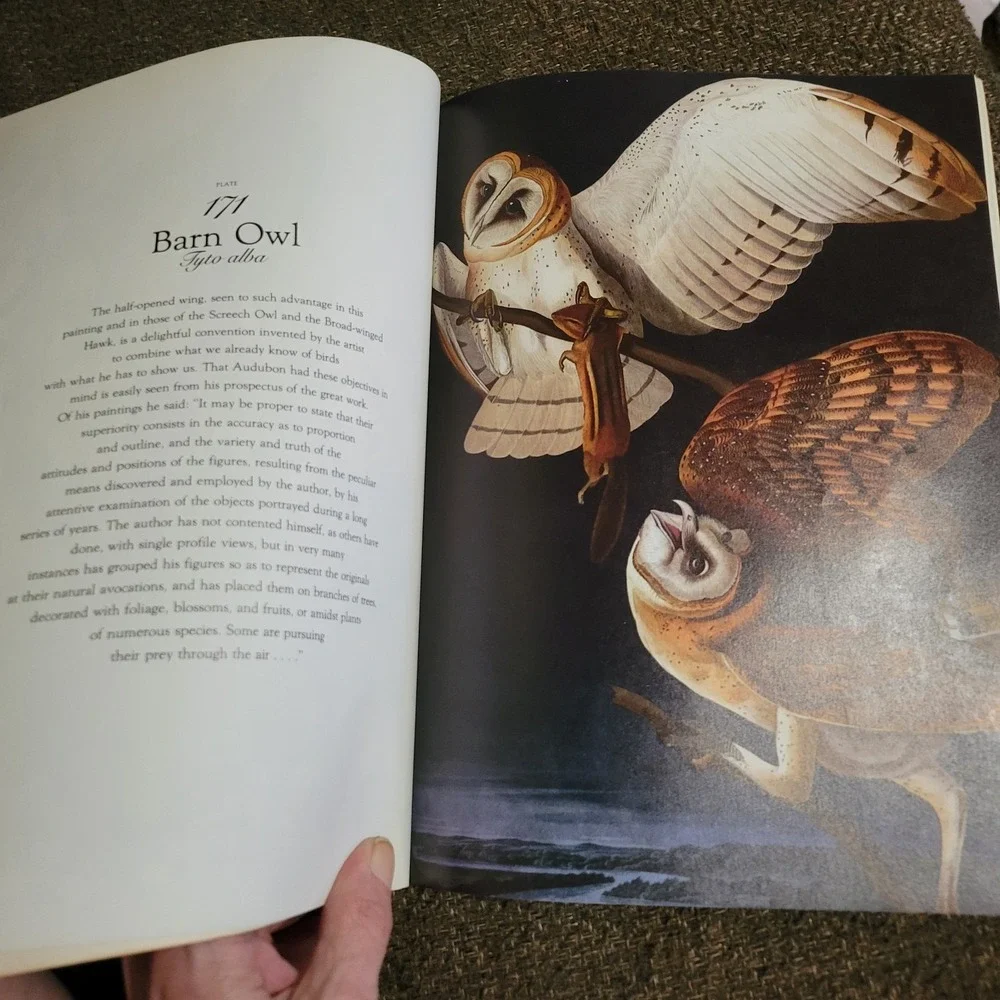 The Living World Of Audubon Book By Roland C. Clement‎ 1980 Paperback